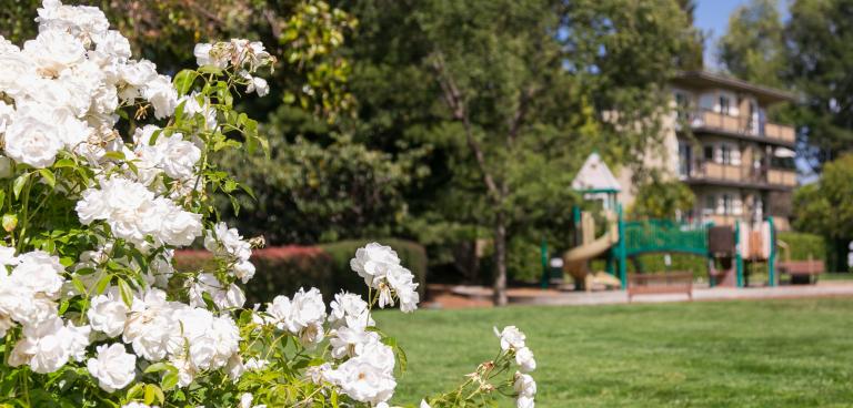 Oak Creek Apartments Landscaping